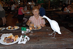 0761 Wildlife Habitat Port Douglas
